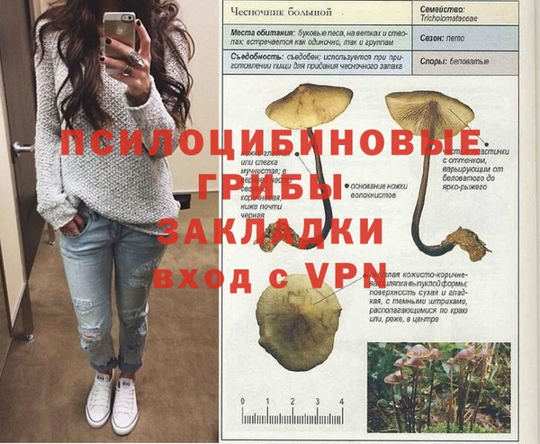 каннабис Алексин